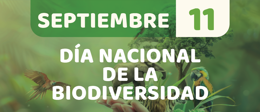SEP 25Mesa de trabajo 4