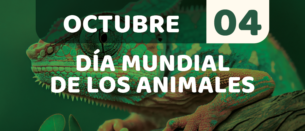Mesa de trabajo 3
